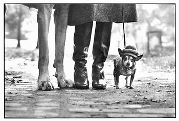 Elliott Erwitt - 0122_retro3.jpeg