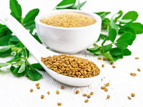 Maintain Your Blood Sugar Levels with Raw Fenugreek | SAP Diet