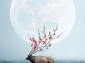 Trouver son autonomie Spirituelle et énergétique