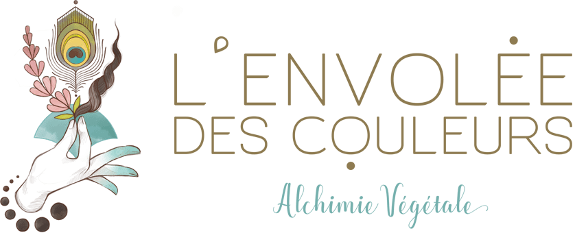 logo l'envolée des couleurs