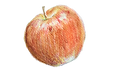 DSC_0011_edited.png