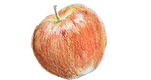 DSC_0011_edited.png