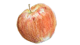 DSC_0011_edited.png