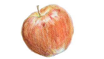 DSC_0011_edited.png