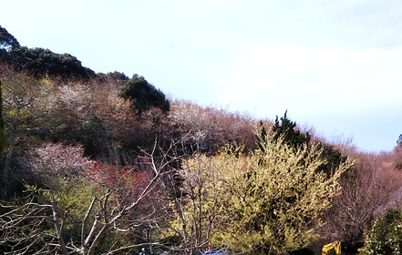 DSC_0146_edited.jpg