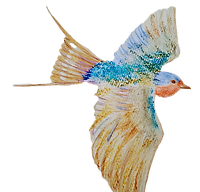 DSC_0003_edited.png
