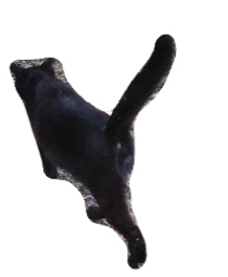 DSC_0069_edited_edited.png