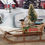 Thumbnail: Large Antique German Santa with Sleigh