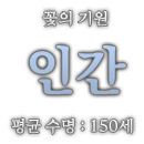 꽃의-기원.png