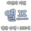 엘프.png