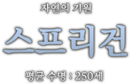 스프리건.png