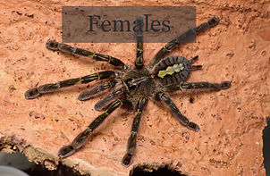 DSC_0931_edited.jpg