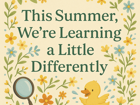 Why I Created Curiosity Camp