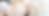Spring Peony Newsletter Email Header (1).png