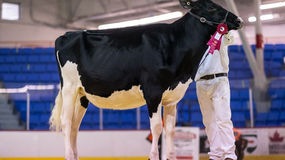 Expo de Trois-Rivières 2021 : Félicitations à nos membres !