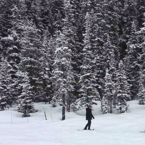 Wintering—snowshoeing frozen Lake Louise.