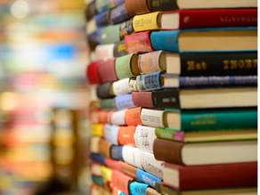 2024 Best Reads: Stories That Stayed with Us