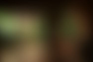 Sometimes the Best Trips Start with a Feeling