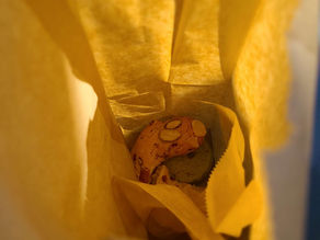 Highway Reflections: A 101 State of Mind