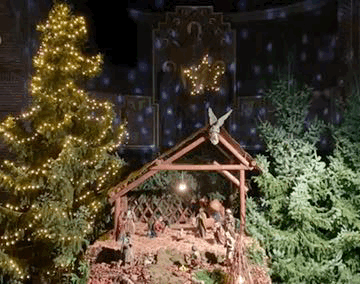 Bezichtiging Grote Kerststal