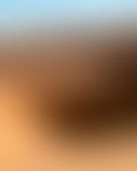 Ma vie est un désert