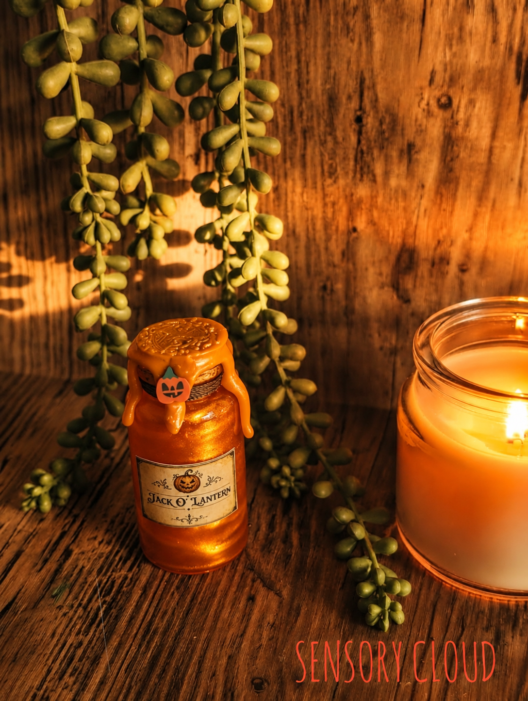 Jack O' Lantern Sensory Potion