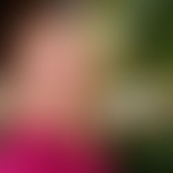 Dr. Kathryn Pearson Peyton