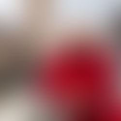 Dayla Arabella Santurri