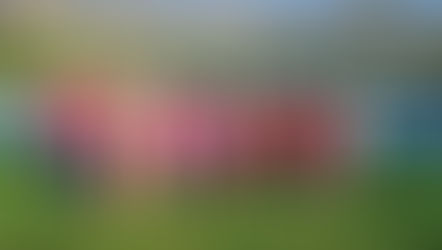 Retour sur Octobre Rose 🩷