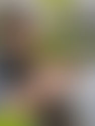 Meet Our New Head Gardener: Thomas Downs!