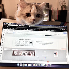 Photothèque - 1 sur 1 (3).jpeg