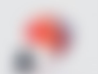 Software vs. Hardware