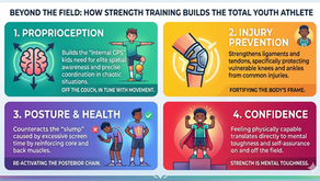 Beyond the Field: Developing the "Physical Blueprint"