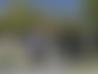 EE.UU. cobrará 250 dólares adicionales por nueva tarifa de “integridad de visa” a extranjeros