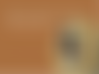 THE STORY – Week 18 Under Pressure: fire fighting and lion taming