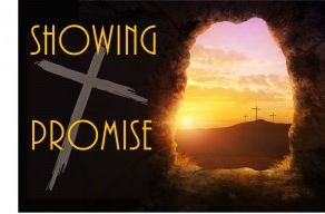 Showing Promise II – The Promise we all share