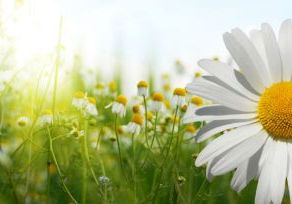 An Easter of Encouragement