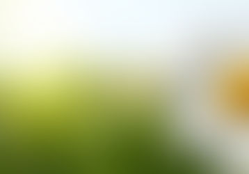 An Easter of Encouragement