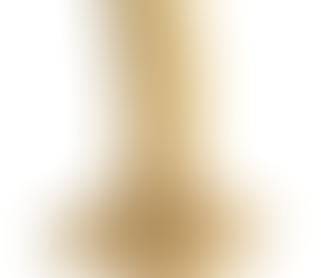 Fellowship Through Jesus Eyes