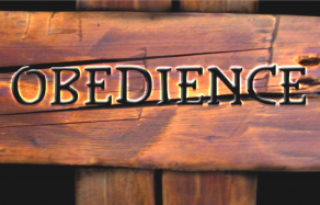 Give Thanks – Pastor Steen Olsen Sermon Notes