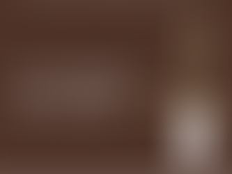 The Story Week 14 – A Kingdom Divided – Pastor Robert Voigt