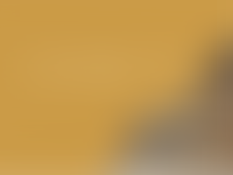 THE STORY, Week 17, The Kingdoms’ Fall: All is Lost?