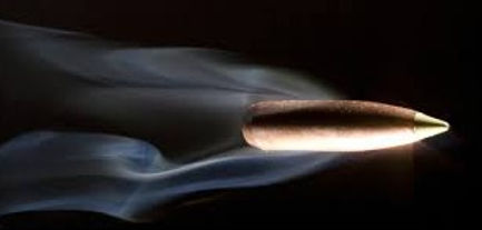 bullet_edited.jpg