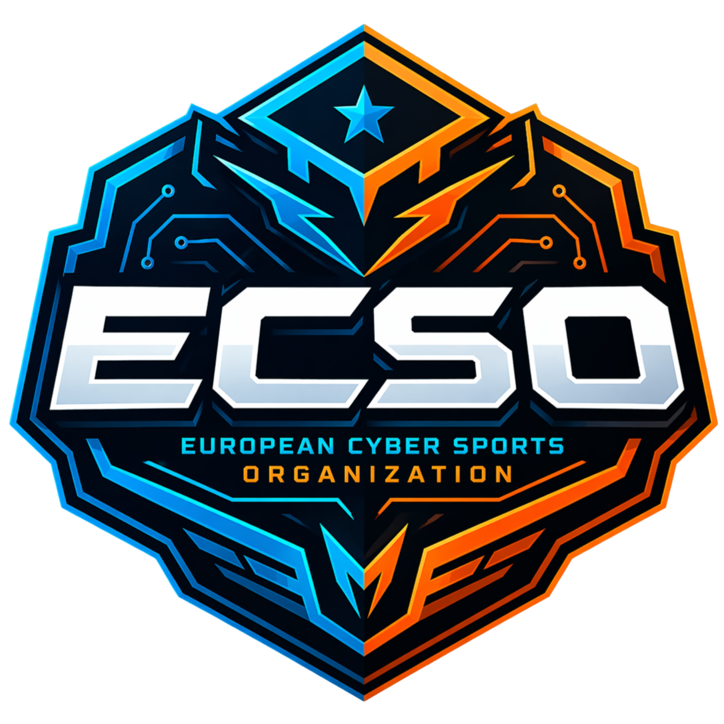 Writer: ECSO