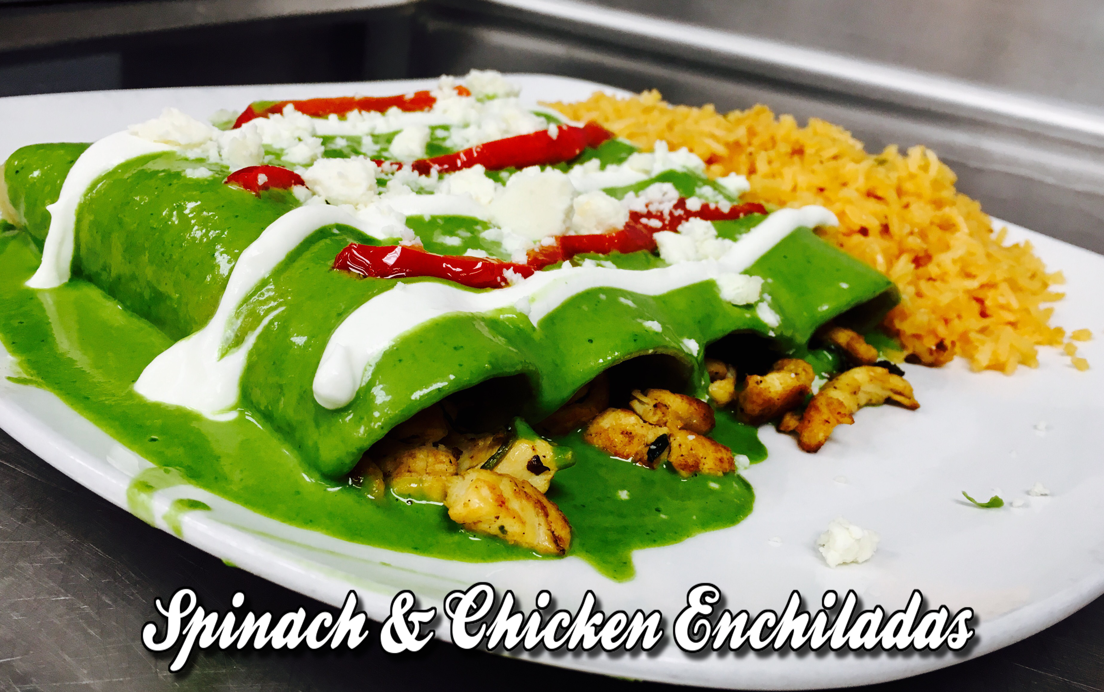 Home | elrodeosouthportland