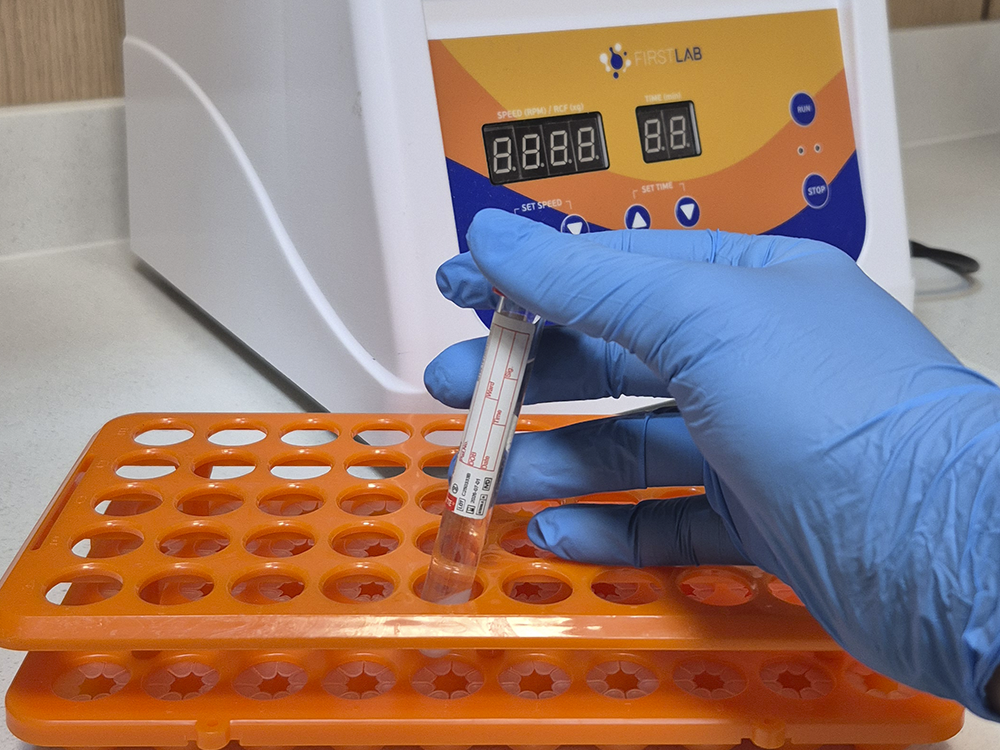MS Lab Checkup - Laboratório