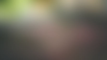 Breaking through the ground's surface, this seedling has a remarkable potential.