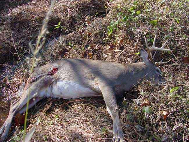10pt1.jpg