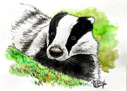 Badger