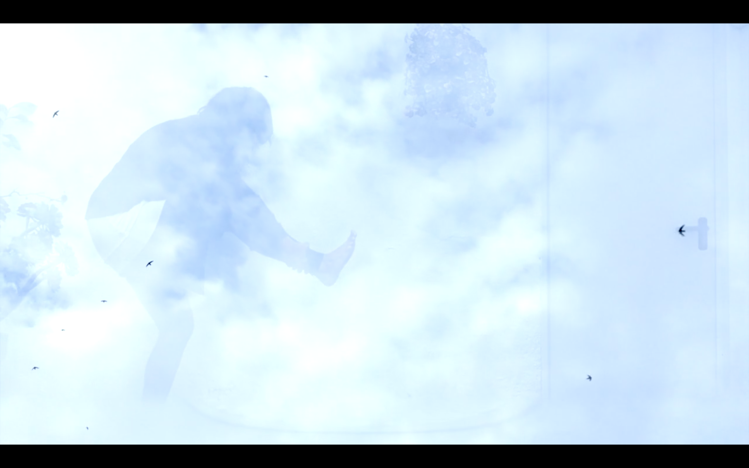 Day M13./